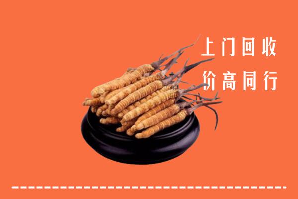 高价求购：邢台南宫回收散虫草
