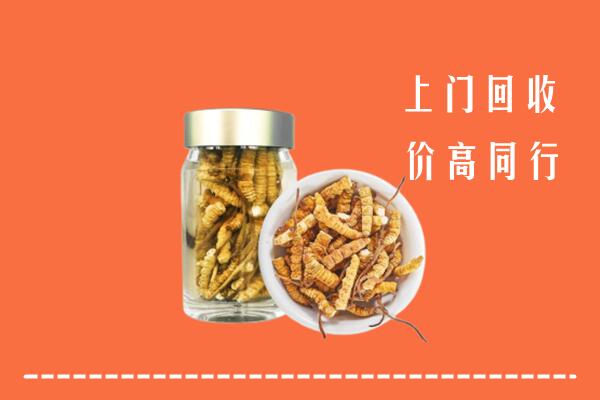 邢台南宫回收冬虫夏草